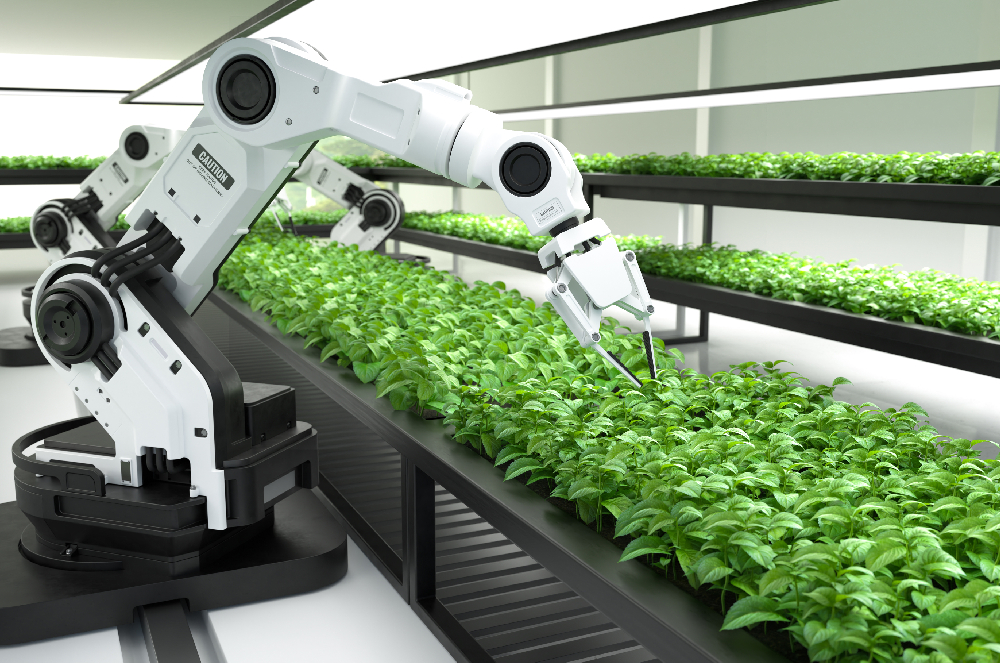 IA en el agro: Cooperativa centenaria de Paraná crea su propia herramienta

 

 